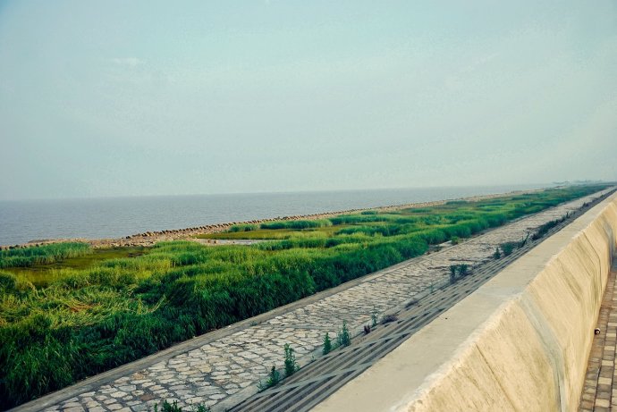 滴水湖臨海濕地 滴水湖臨海濕地