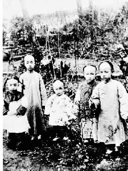 陳氏兄弟舊照 陳氏兄弟舊照