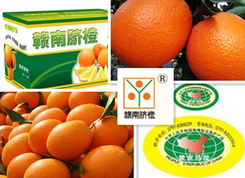 贛南臍橙 贛南臍橙