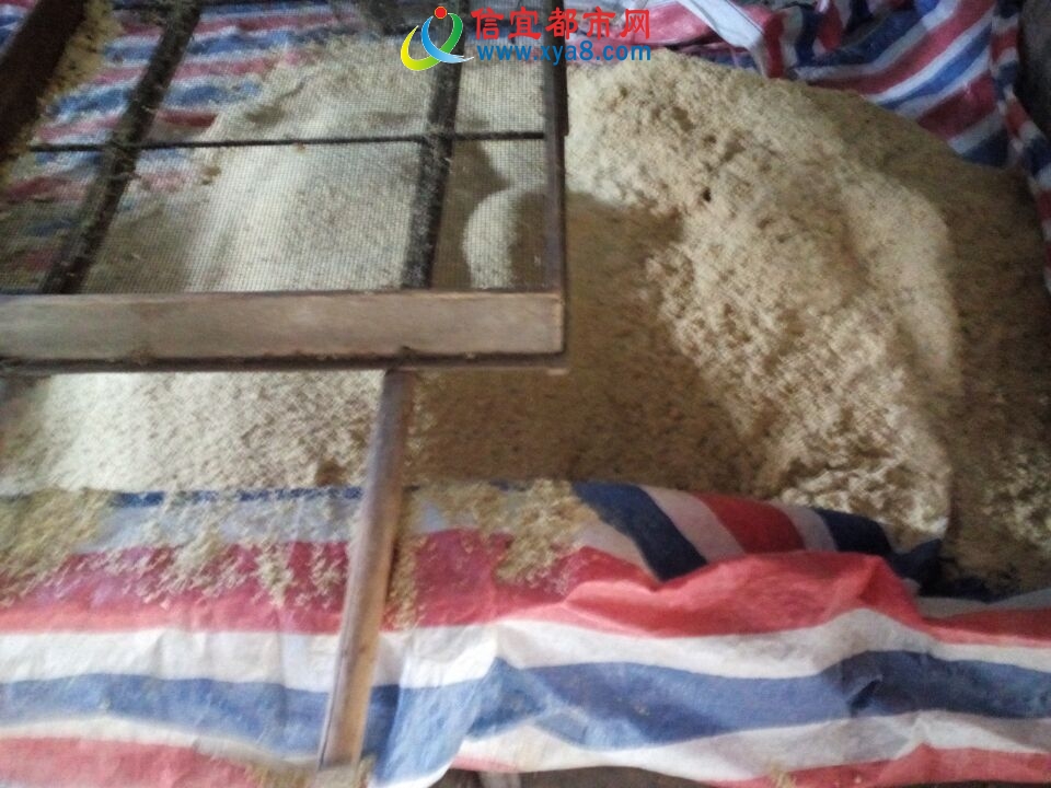 沙姜糠 沙姜糠