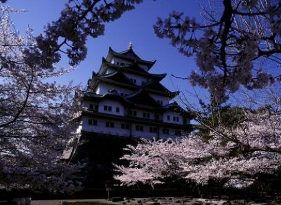 名古屋大學 名古屋大學
