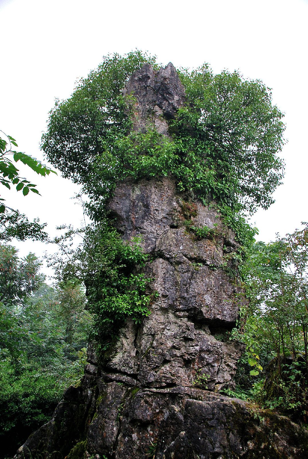 華鎣山生命石 華鎣山生命石