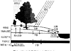 地下水體系作用勢 地下水體系作用勢
