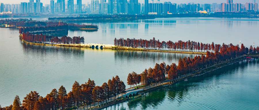 東湖綠道 東湖綠道